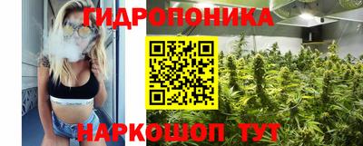 индика Северобайкальск