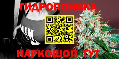 индика Северобайкальск