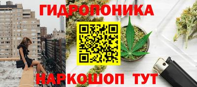 индика Северобайкальск