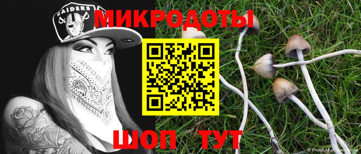 Галлюциногенные грибы мицелий  Вход с VPN  Темрюк 