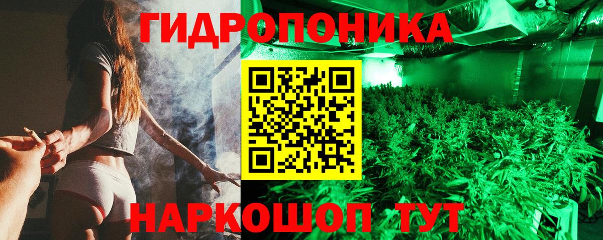 Бошки марихуана конопля  Каннабис Ganja  Темрюк  Канабис планчик  Вход с VPN  МАРИХУАНА Bruce Banner 